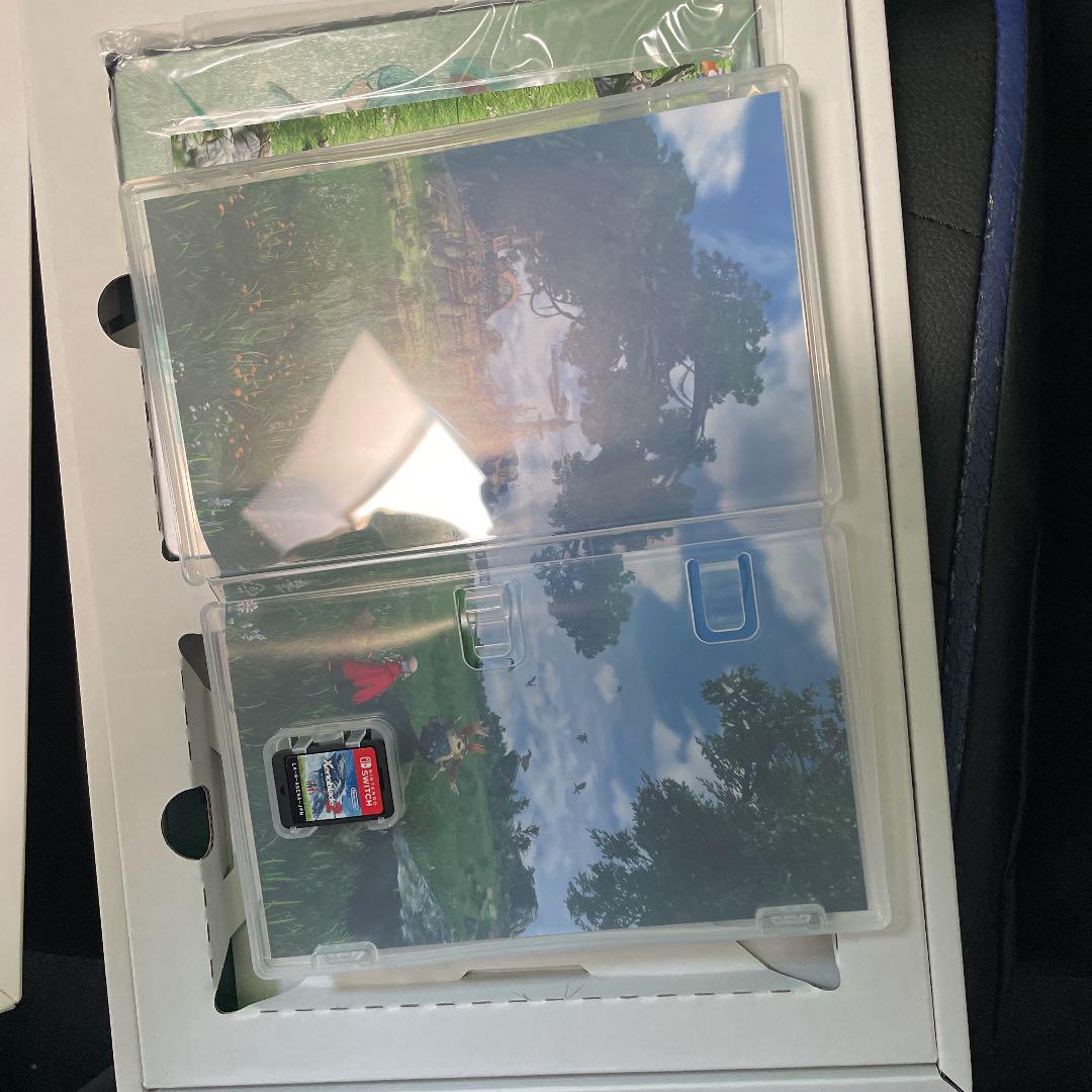 ポイント5倍 ゼノブレイド2 Collector's Edition コレクターズエディション DLiUw-m86548099688 超特価国産