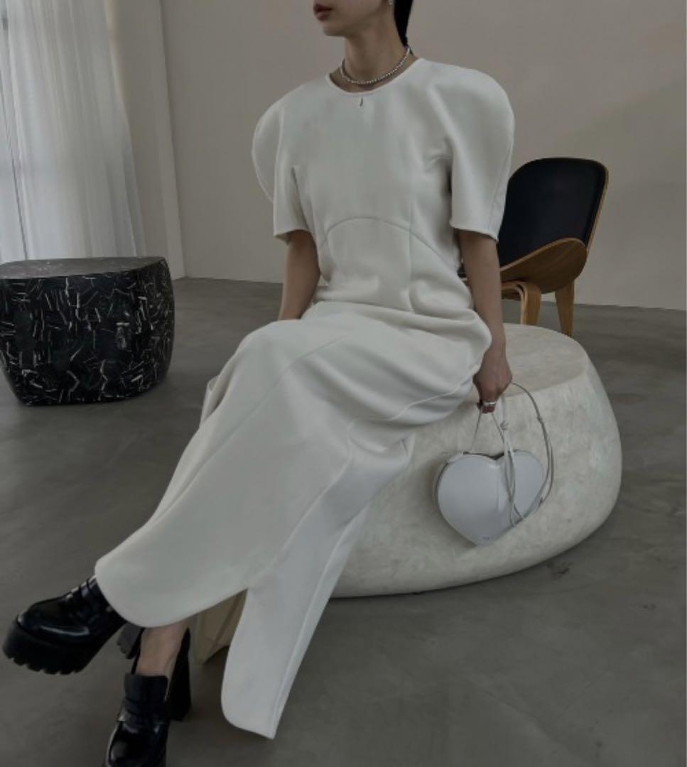 桐谷美玲 × AMERI TULIP SLEEVE I LINE DRESS