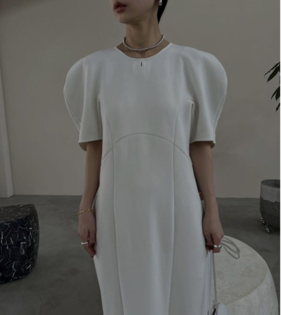 AYAKA | 桐谷美玲さんコラボアイテム👗 AMERI TULIP SLEEVE I