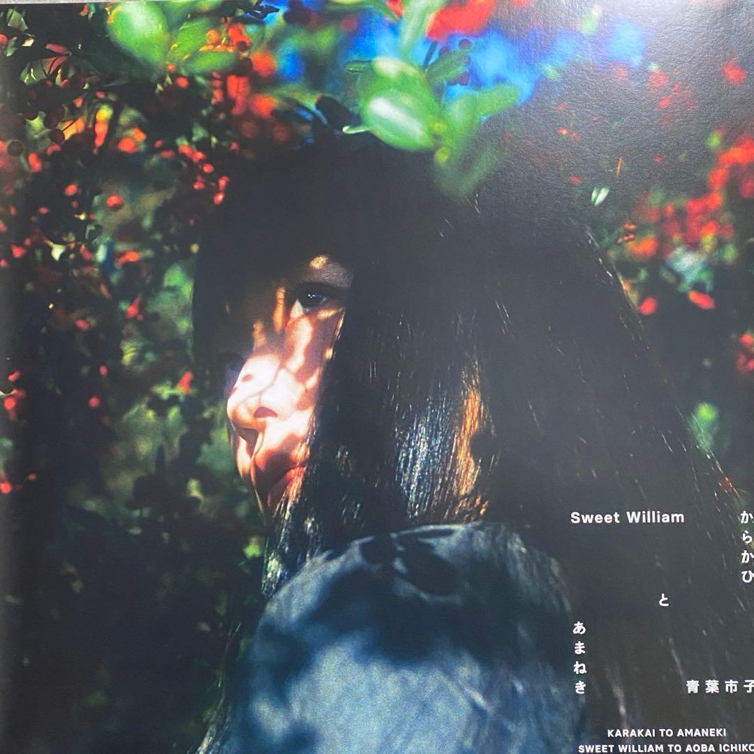 青葉市子 Sweet William 45 RPM レコード ブックレット付き