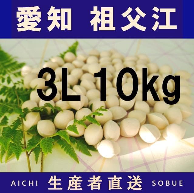 2025年新物 久寿 銀杏 ぎんなん 祖父江産 3L 10kg