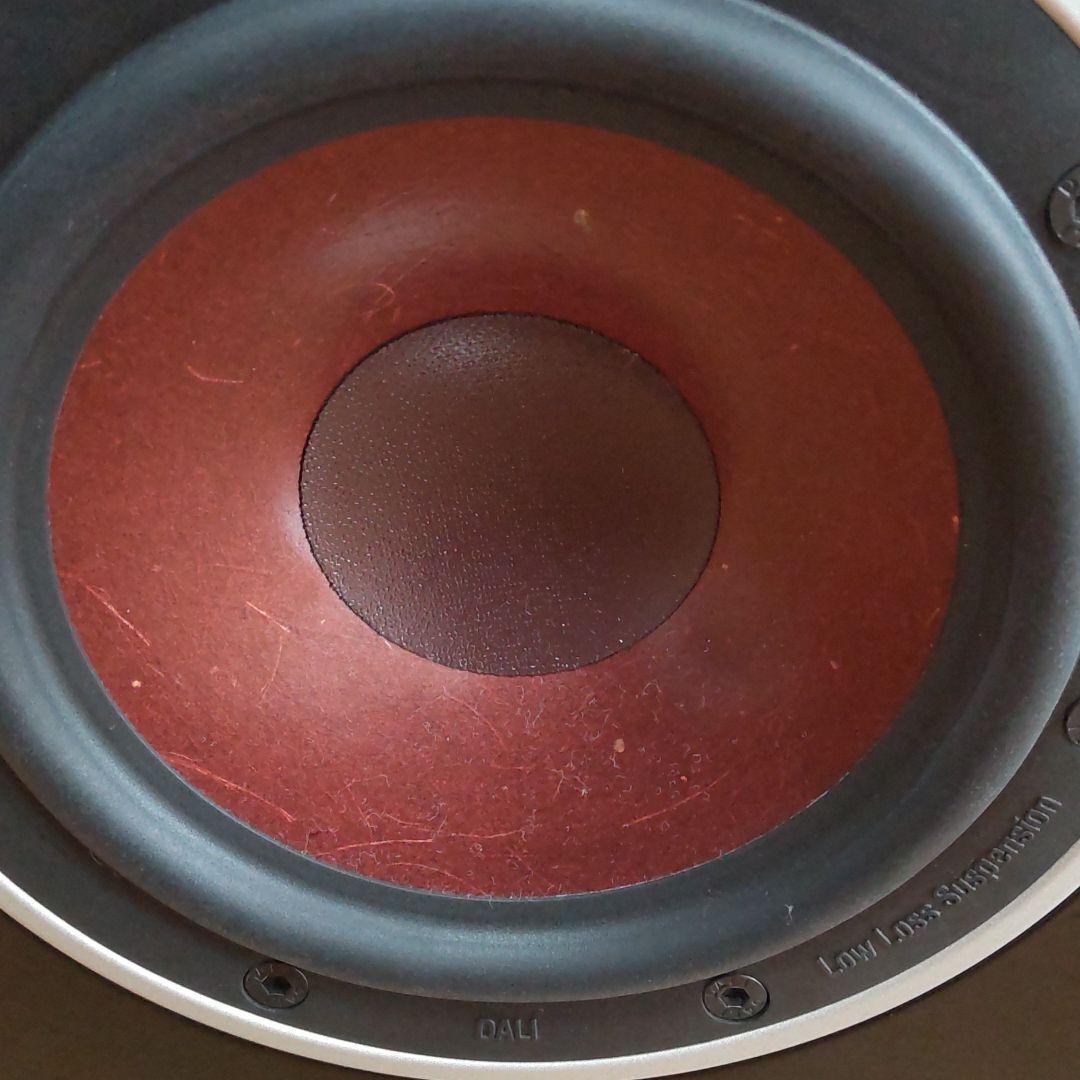 アキン様専用 ダリDALI ZENSOR1 BK 2ホン ブラック | loneoakpoint.com