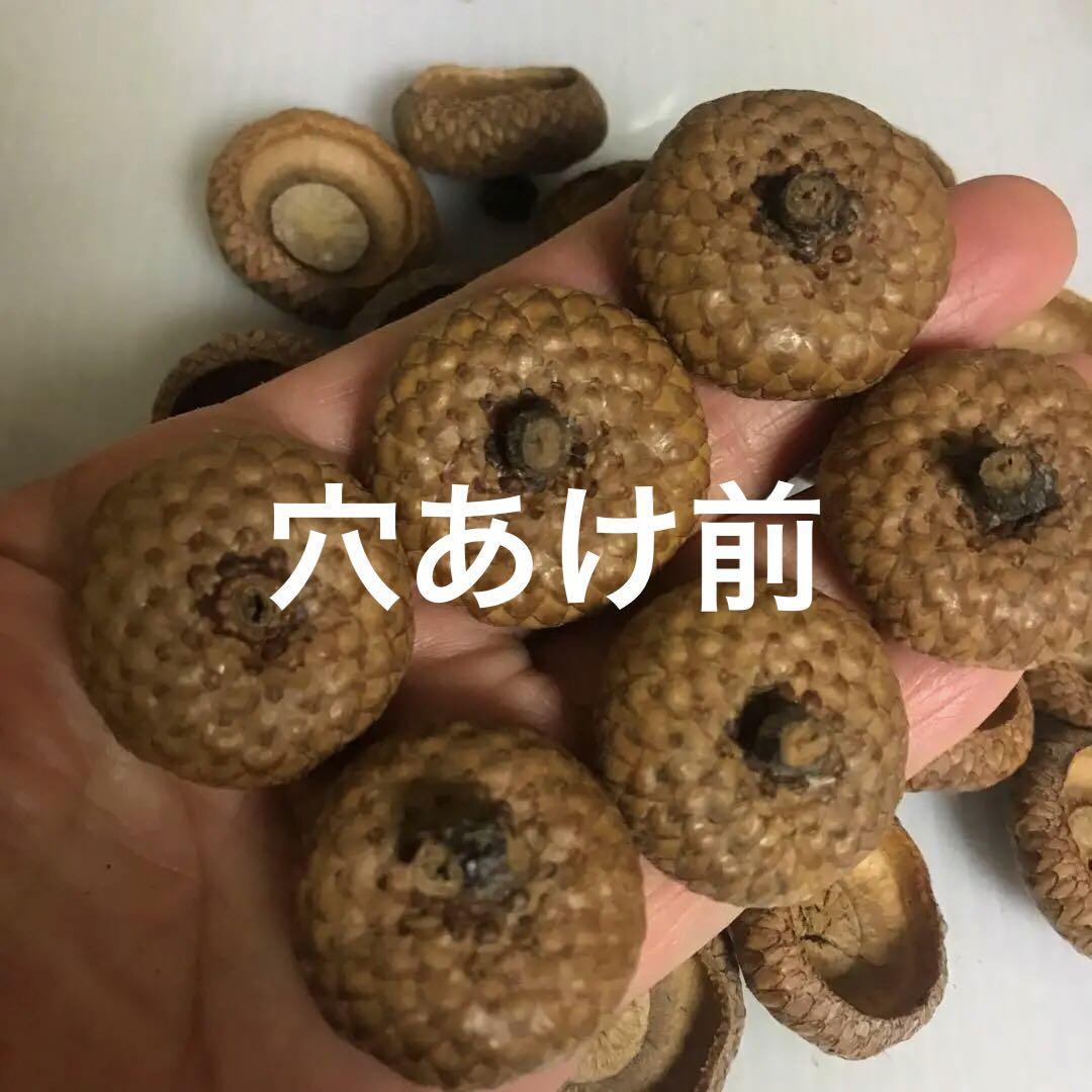 どんぐり帽子