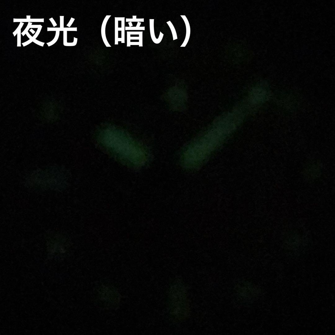 ダイバーズウオッチ レディース