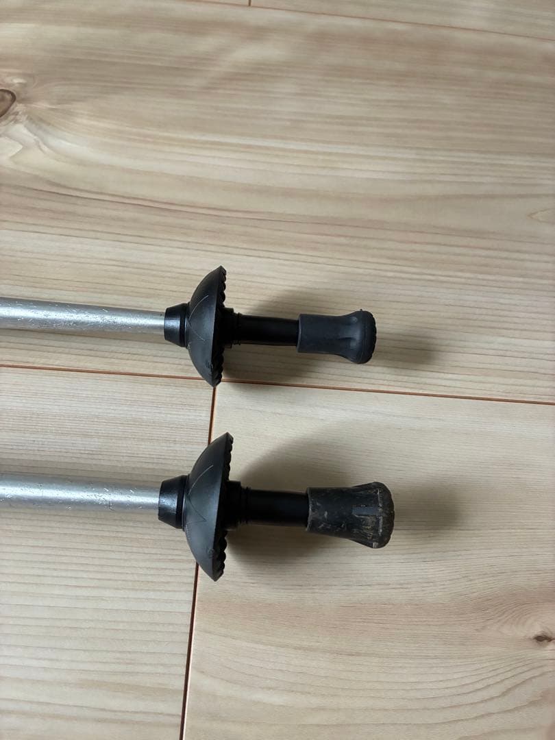 トレッキングポールBlackDiamond