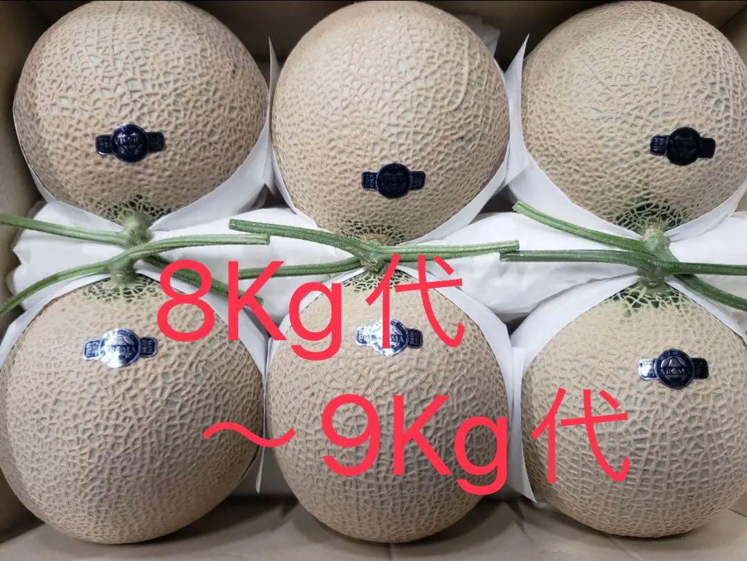 無農薬 青梅 箱込み10kg 埼玉県産 果物
