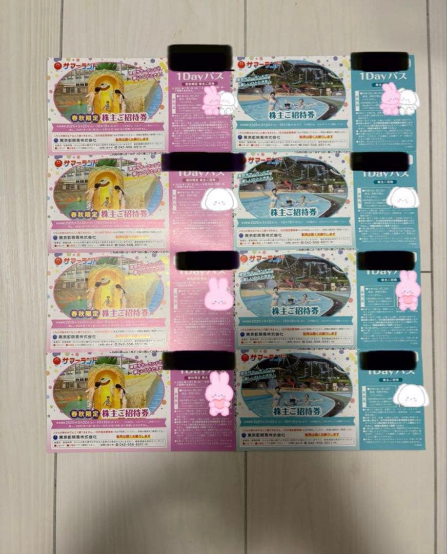 東京サマーランド 株主ご招待券 8枚セット