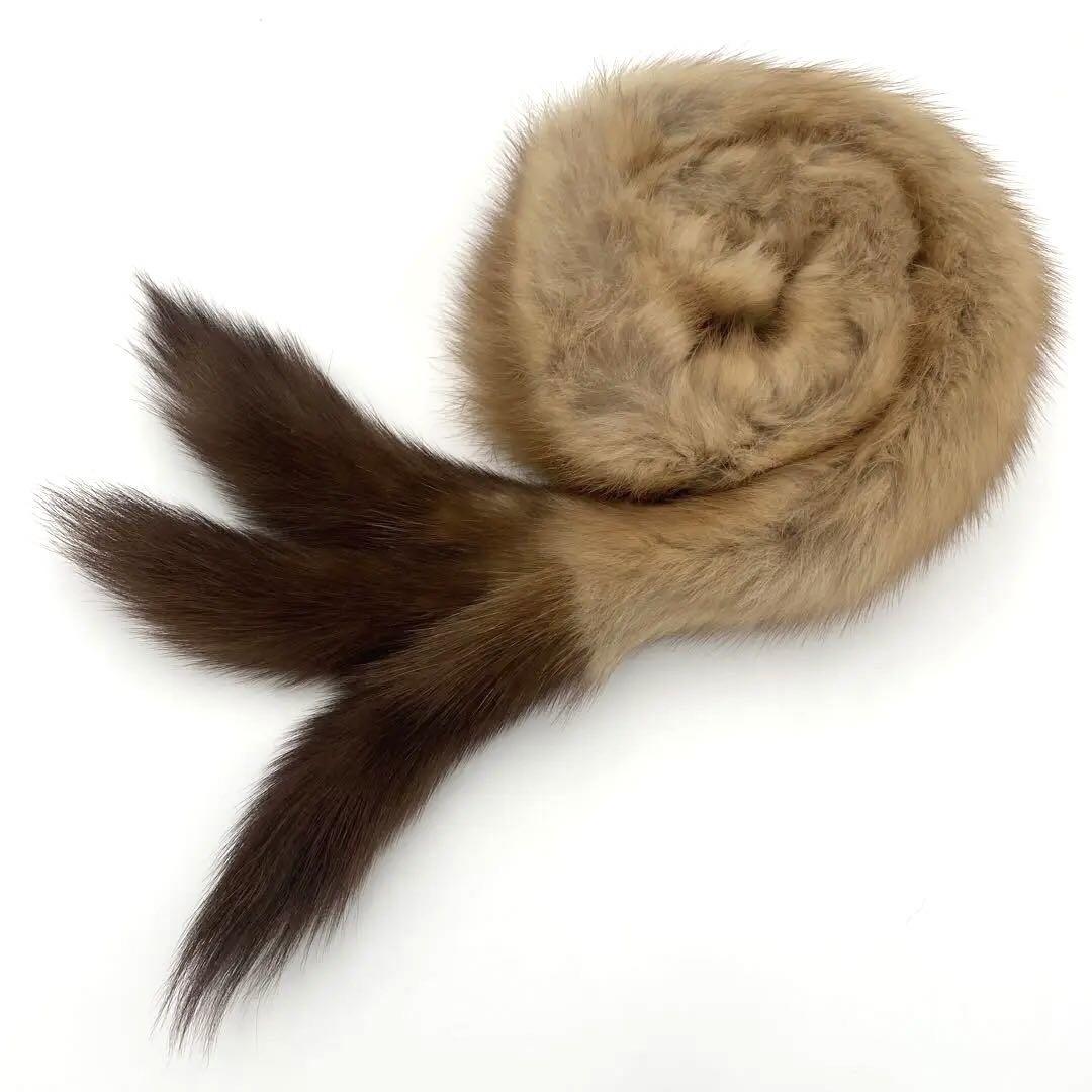 極美品✨　FOXEY セーブルタイ　シングルタイプ　箱あり
