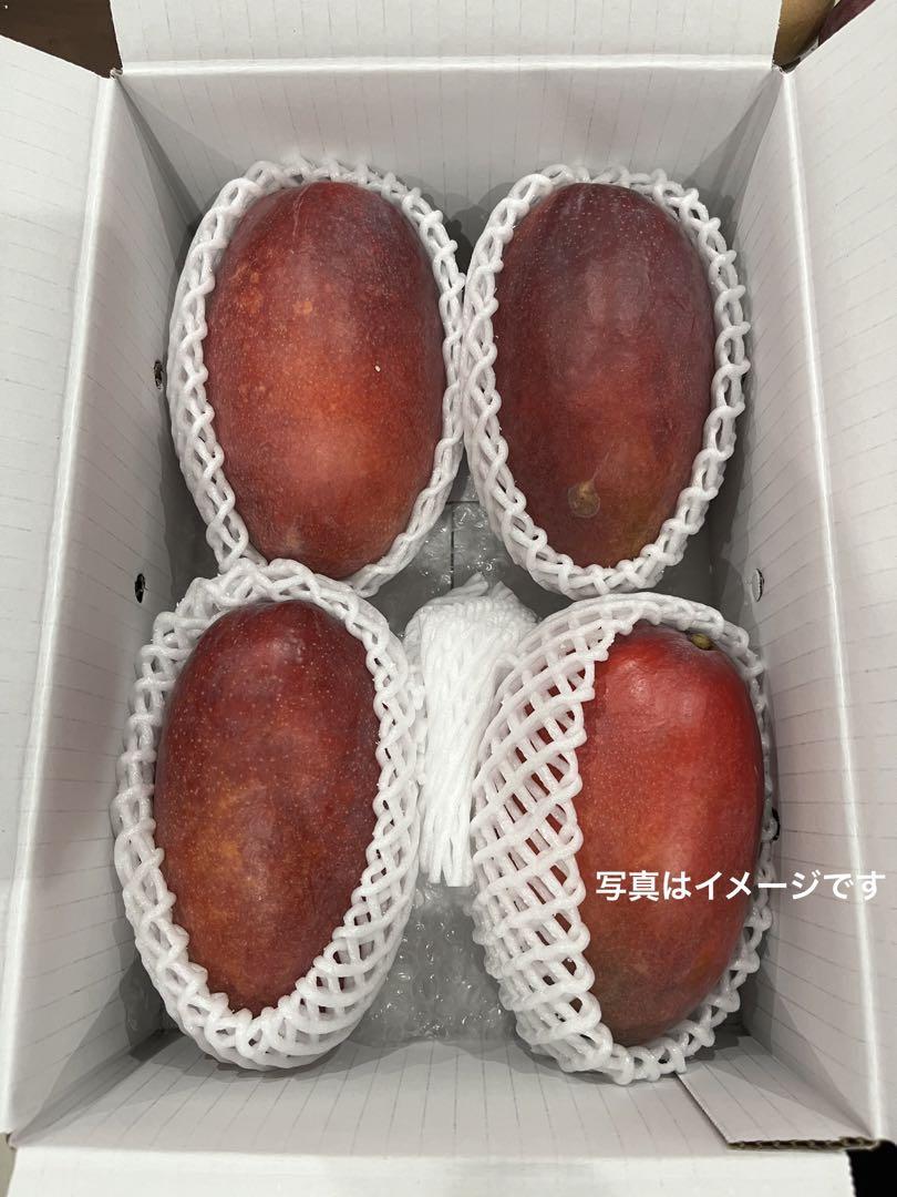 家庭用マンゴー　約４ｋｇ
