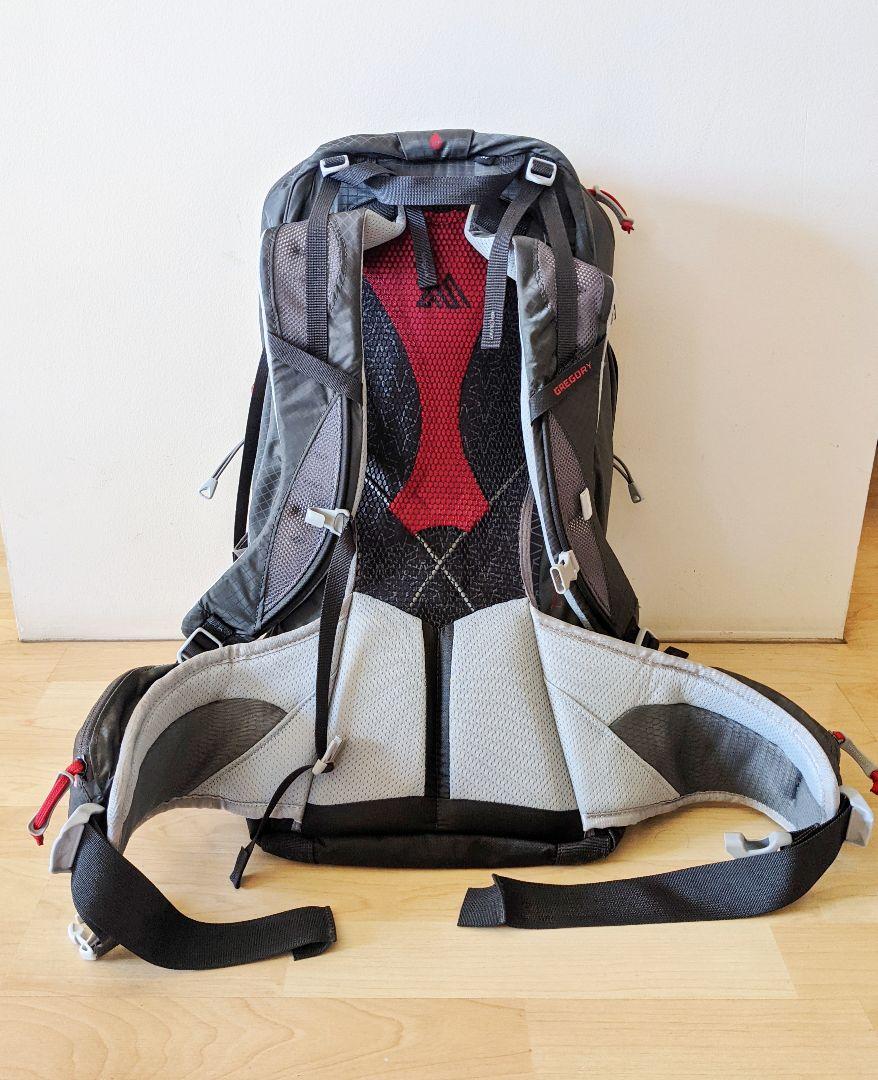 低価定番人気 Gregory グレゴリー ZULU 30 グレー MD LG ja6rz-m86688263466 爆買い