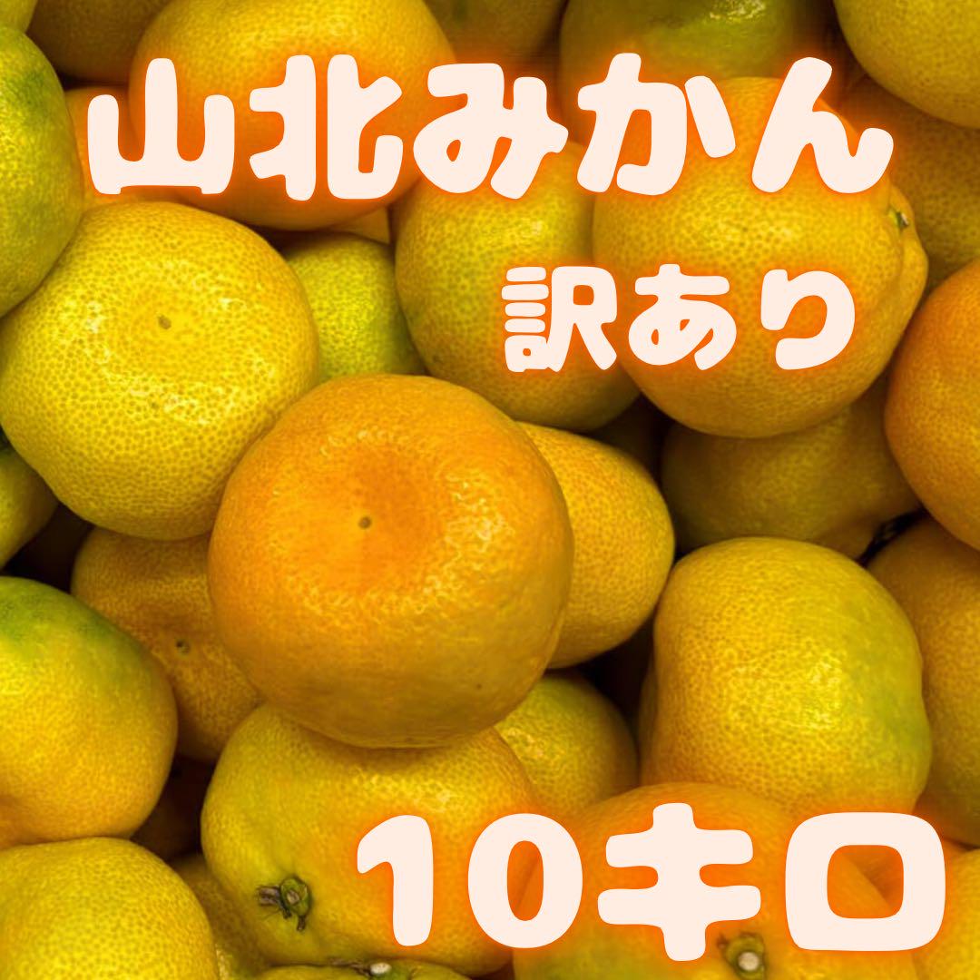 期間限定販売　山北みかん　10k 訳あり　29