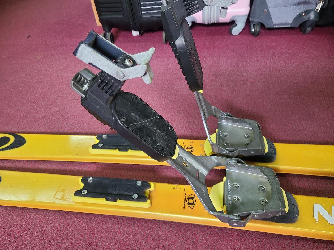 スキー 177 SALOMON XSCREAM TENEIGHTY