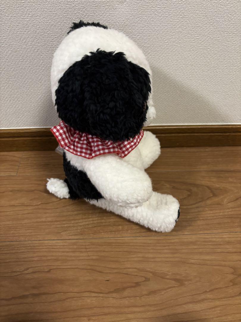 チャウテセイ　ナニスン　イベント限定品