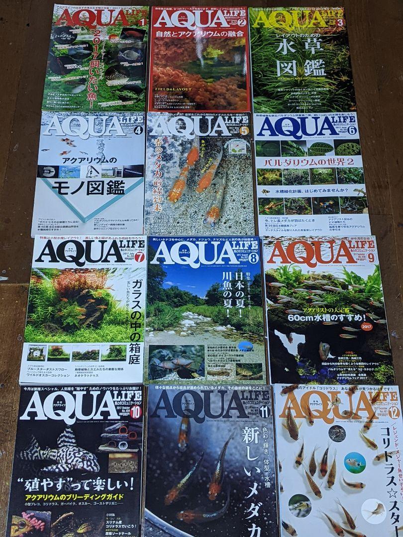 月刊アクアライフ　2017年12冊まとめ売り