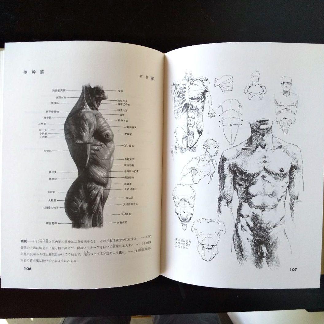 美術解剖図説　オックスフォード オックスフォード美術解剖図説(スティーブン・R.ペック 著