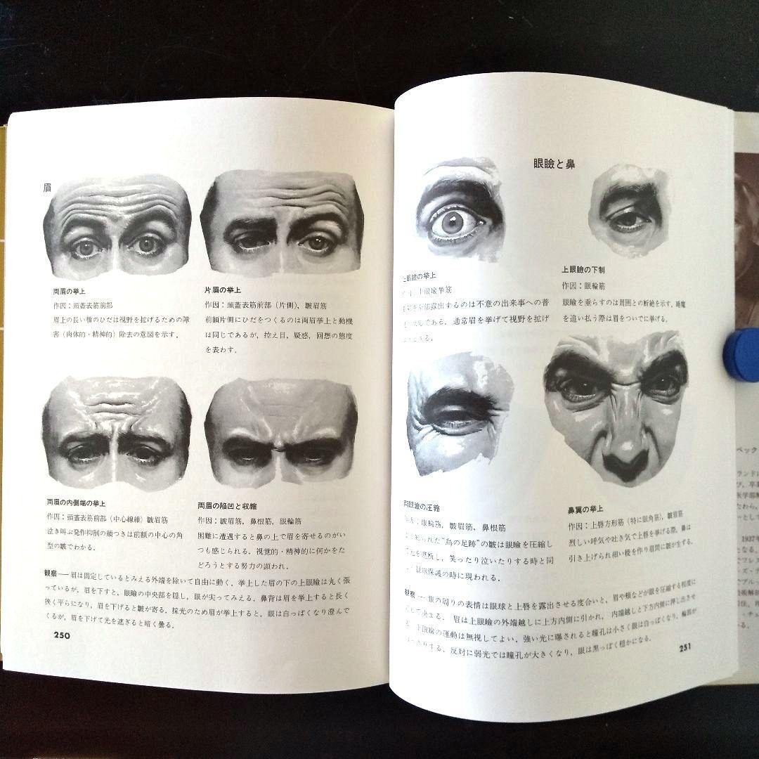 美術解剖図説 スティーブン・R・ペック著 - メルカリ