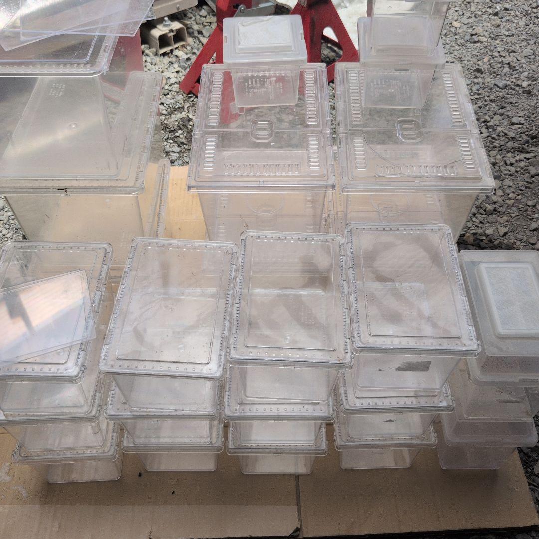 透明プラスチック虫かご多数セット