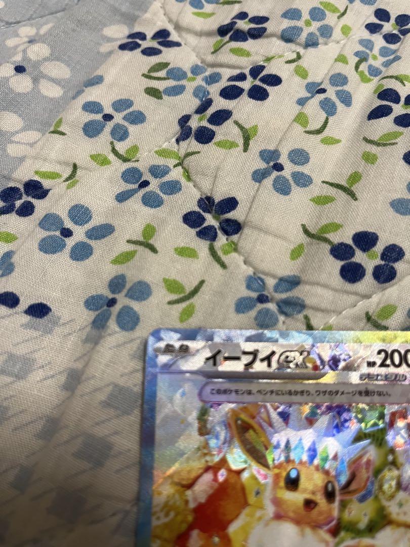 テラスタルフェス産ケーキ イーブイSAR