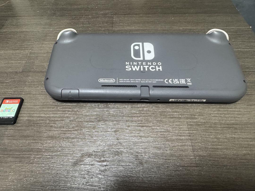 本体