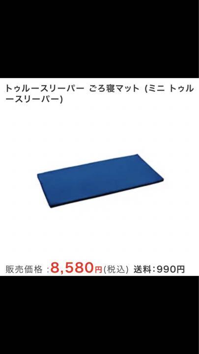 トゥルースリーパーごろ寝マットミニトゥルースリーパー
