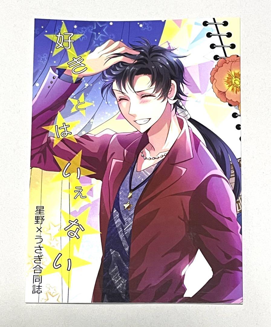 セーラームーン同人誌 星野光×月野うさぎ 星うさ
