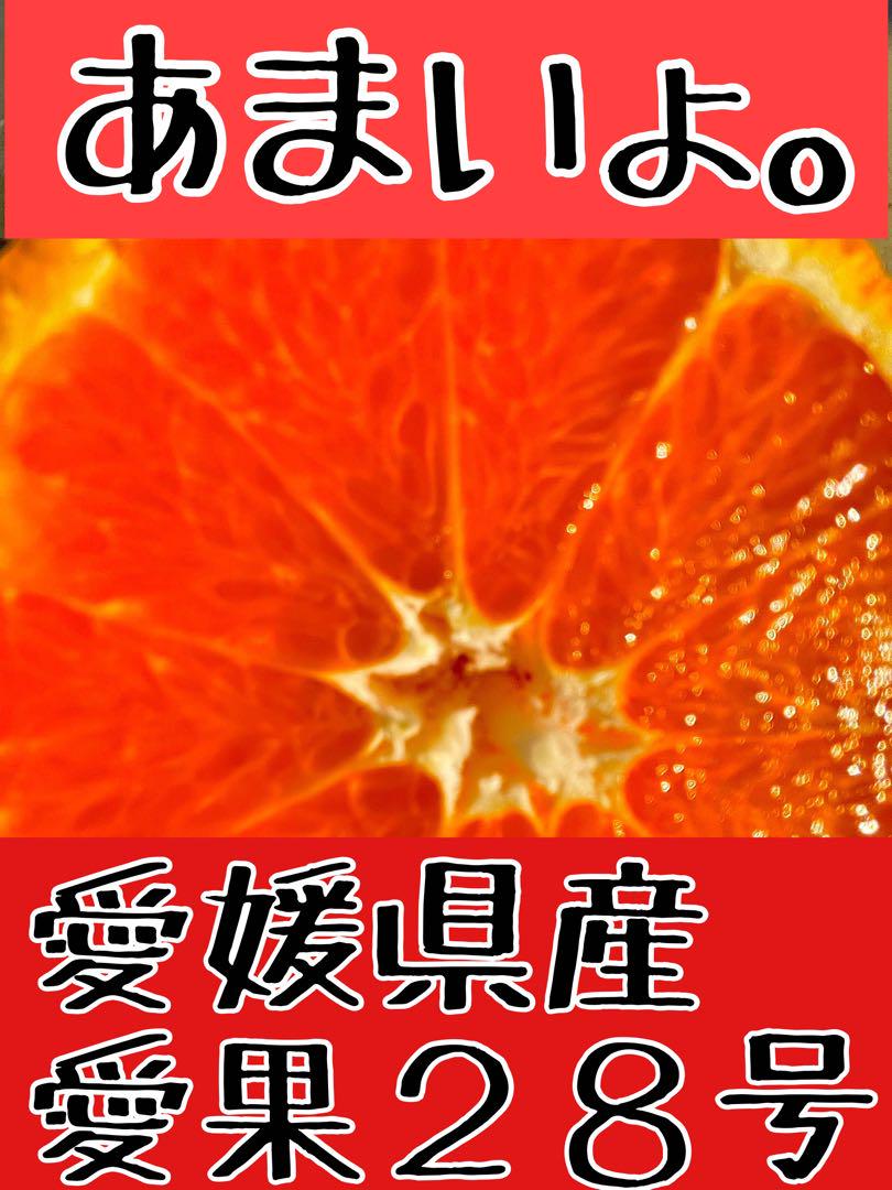 農家直送！愛果28号→家庭用5kg
