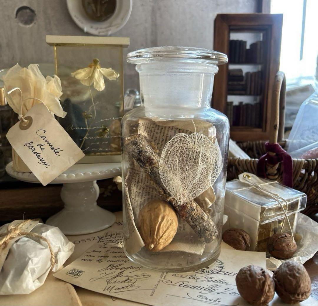 ヴィンテージ 薬品瓶 透かしほおずき 烏瓜 苔付き木 標本瓶 古道具