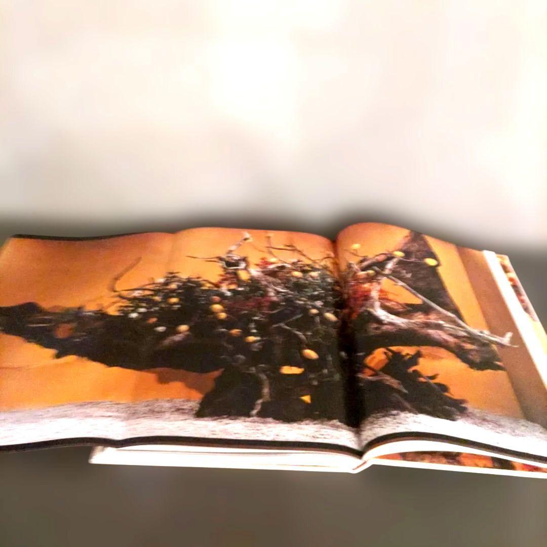 勅使河原蒼風 豪華作品集 「蒼風造形 (THE ART OF SOFU)」 勅使河原蒼風 豪華作品集 「蒼風造形 (THE ART OF SOFU)」