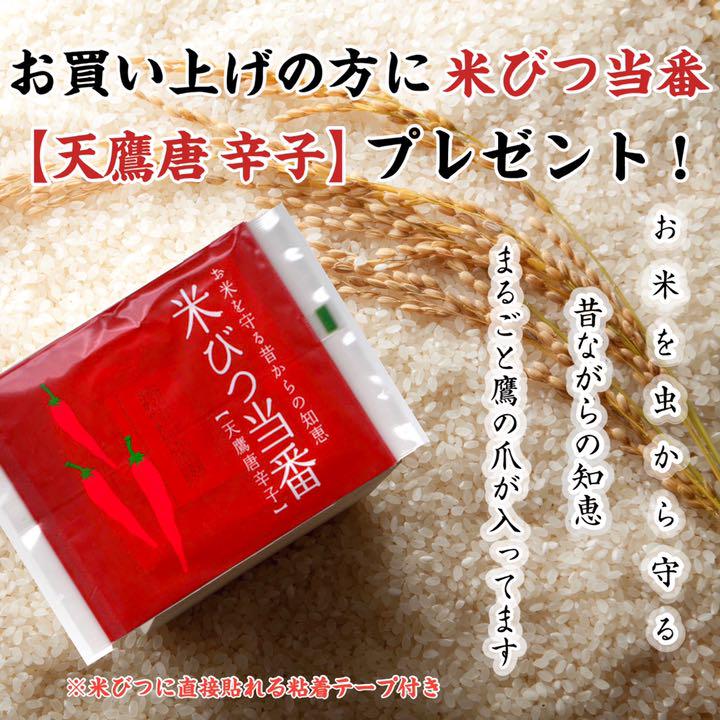 低価爆買い リピーター様特価 白米 生活応援米 UQ6yz-m86909112224 福岡県産米24キロ 爆買い正規品