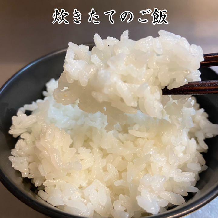 低価爆買い リピーター様特価 白米 生活応援米 UQ6yz-m86909112224 福岡県産米24キロ 爆買い正規品