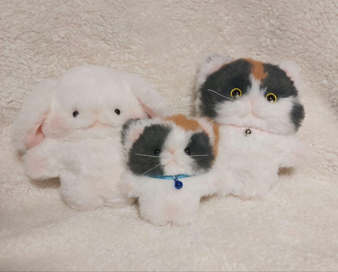 まあこ　確認ページ