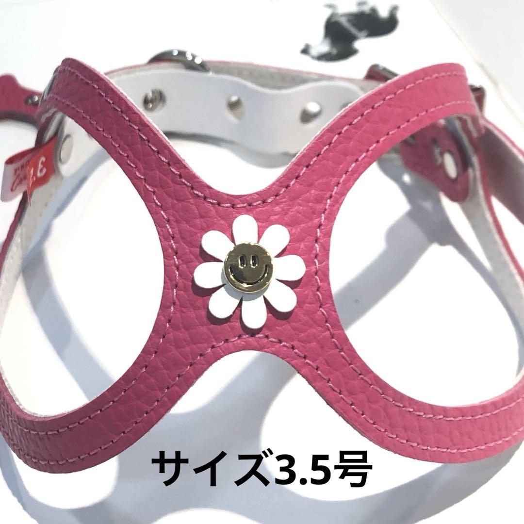 バディーベルト Buddy Belt 3.5号 ホットピンク 犬 ハーネス 首輪