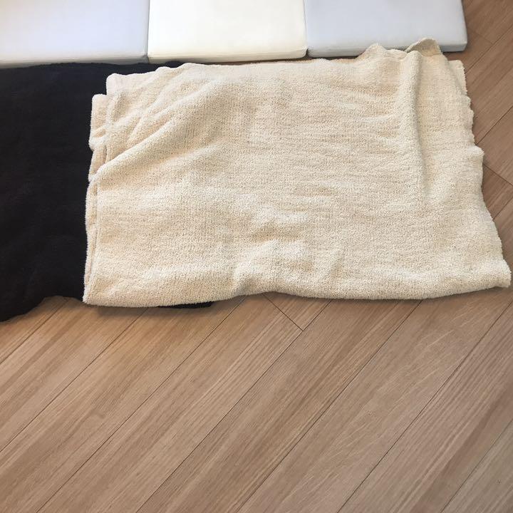 大人気定番商品 カシウェア ブランケット 2枚セット - 布団/毛布 - labelians.fr 大人気定番商品 カシウェア ブランケット 2枚セット - 布団/毛布 - labelians.fr