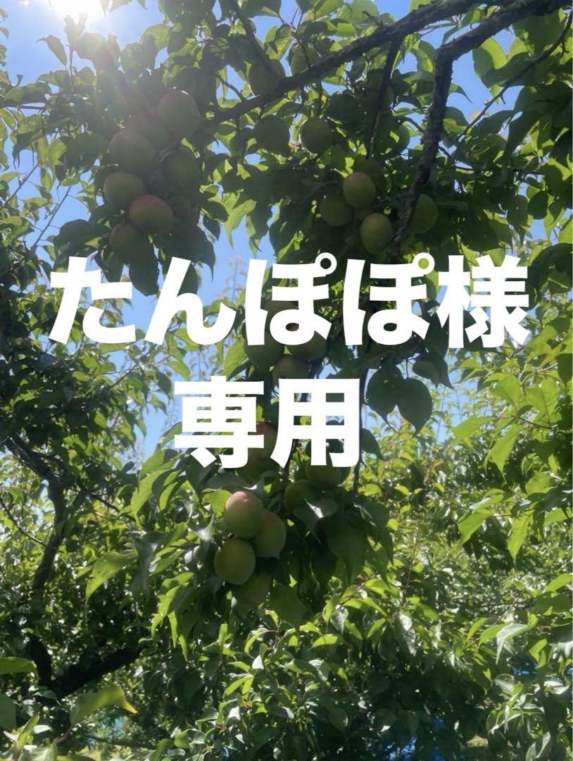 たんぽぽ様ご