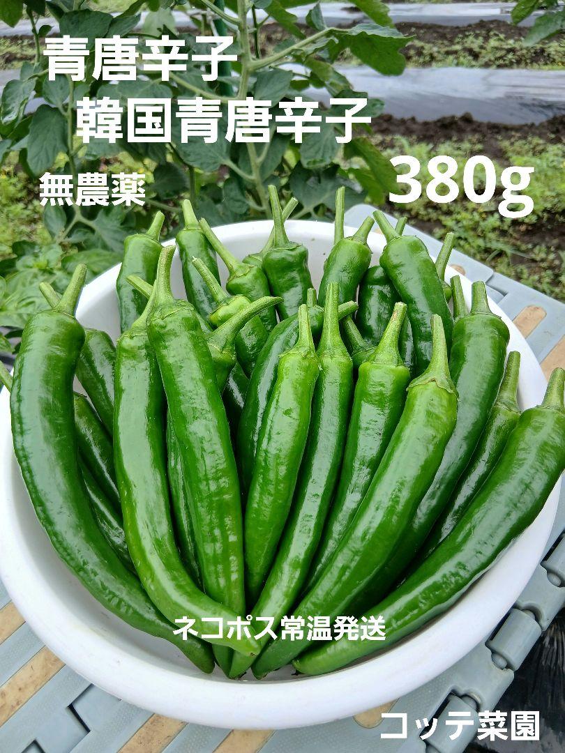 青唐辛子 韓国青唐辛子 (旨み 辛み 香り) 380g 無農薬 - メルカリ