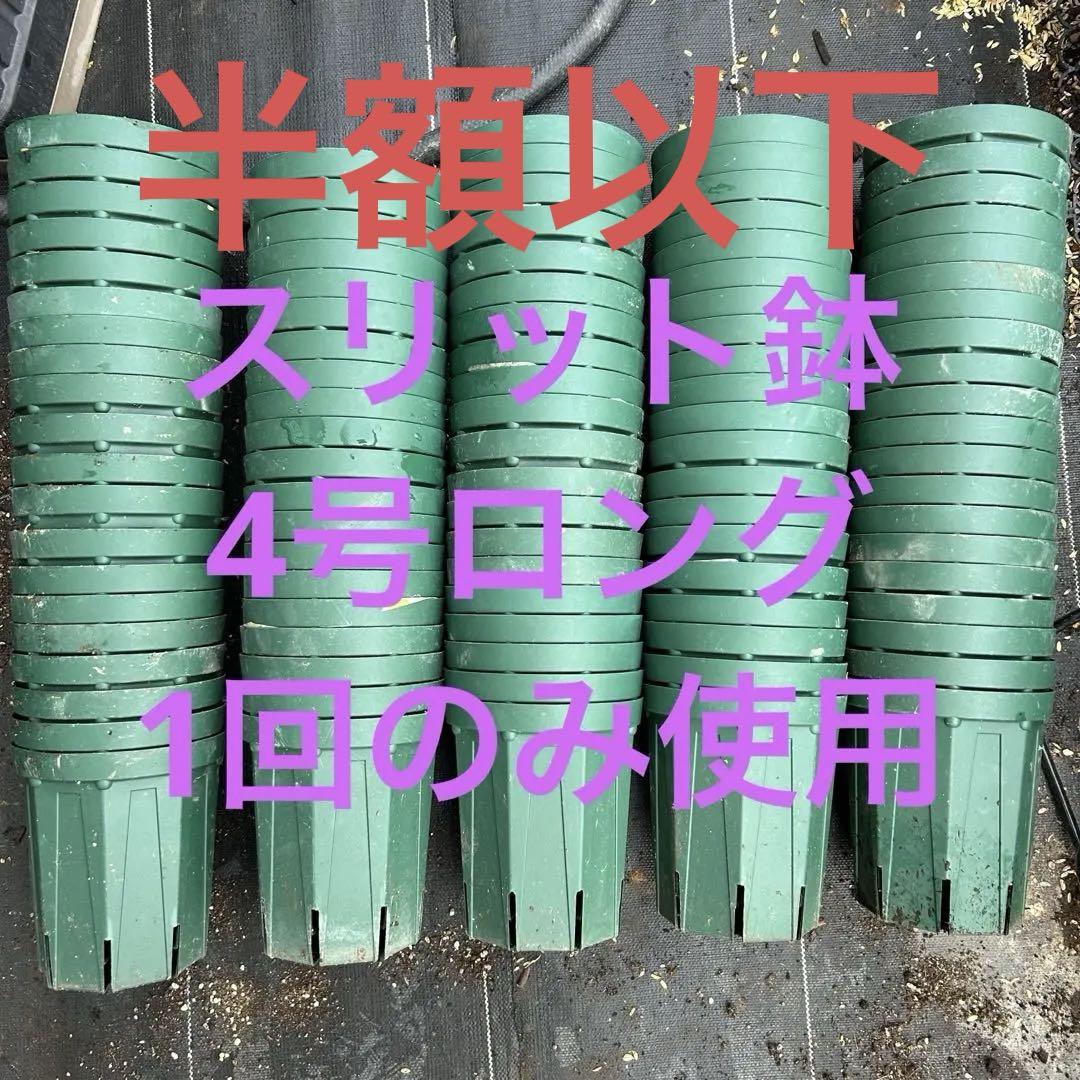 100個セット CSM-120L 4号ロング スリット鉢 兼弥産業 大量