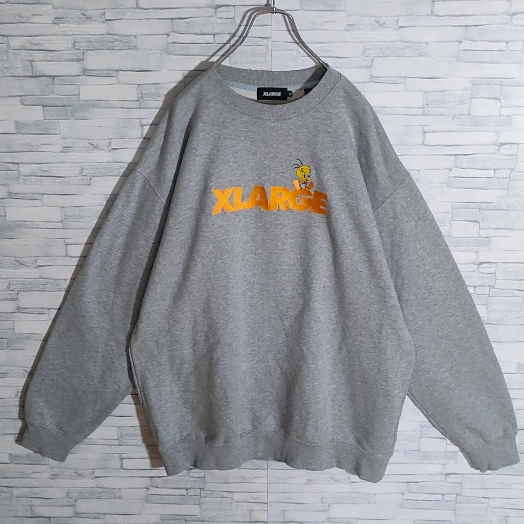 【良品 XL】エクストララージ☆スペースジャム コラボ 刺繍ボアロゴ スウェット