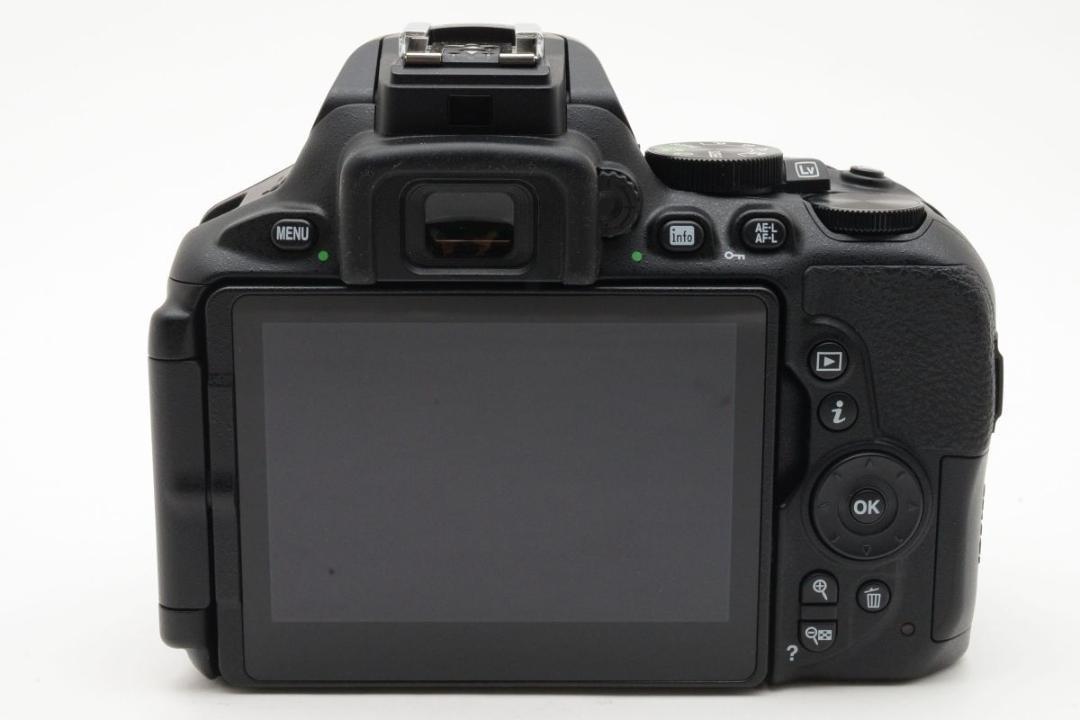 超美品　974ショット/使用率1% ニコン D5600 ダブルズームキット
