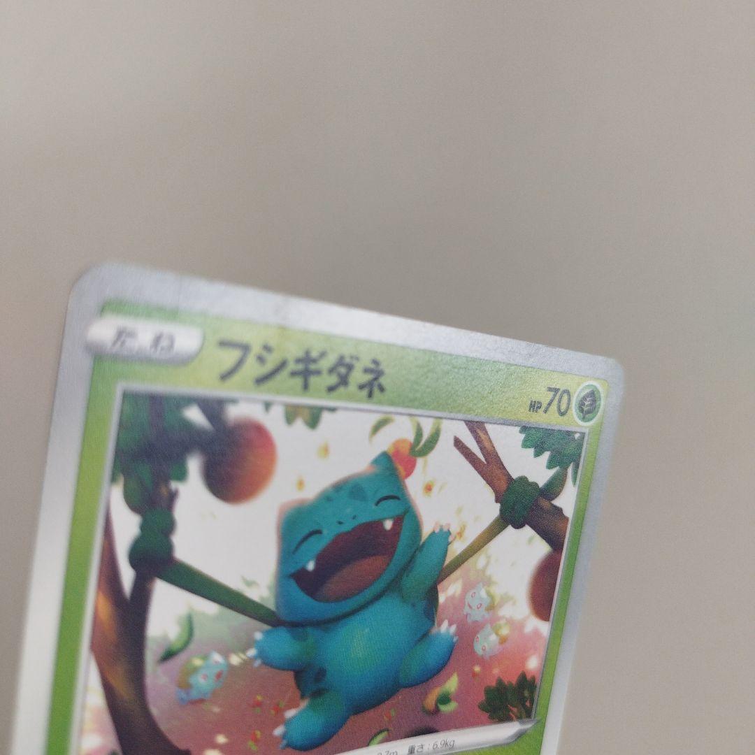 ポケモンカード フシギダネ イラストレーションコンテスト2022