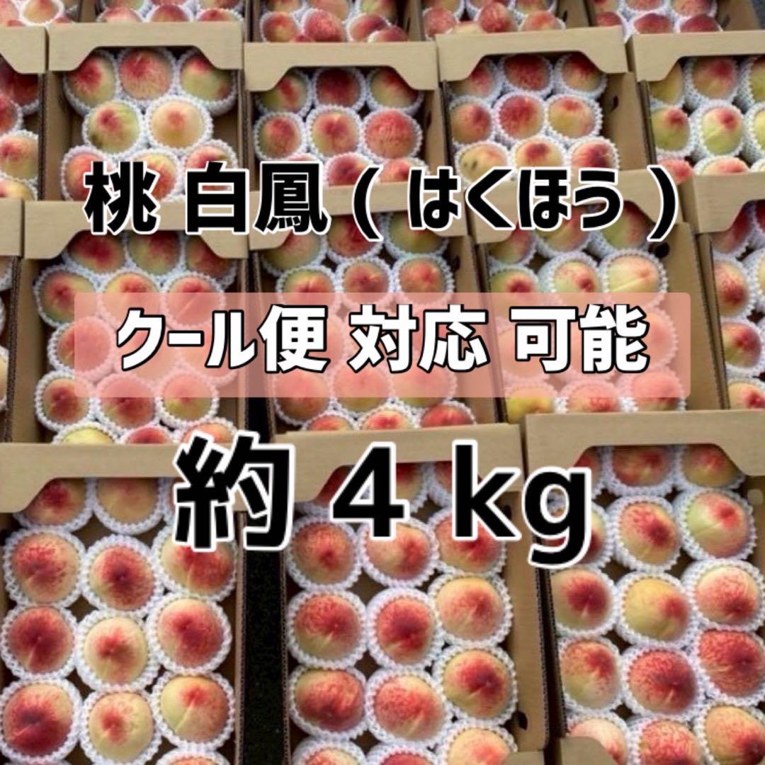 【 和歌山県産　白鳳 】約4.0kg 6,850円　ご家庭用