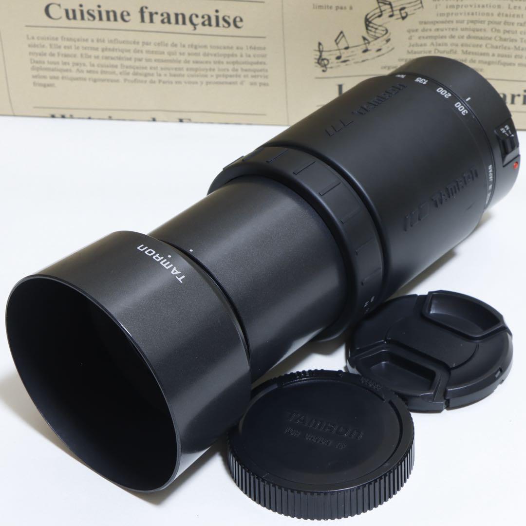 ◇大迫力300mm超望遠◇ TAMRON 70-300mm for Canon