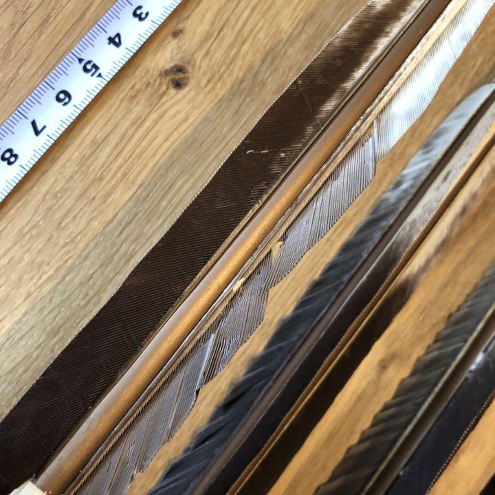 ブラウン系新到着 弓道 矢 97cm 30g「EASTON 2015」矢筒付き 送料込み
