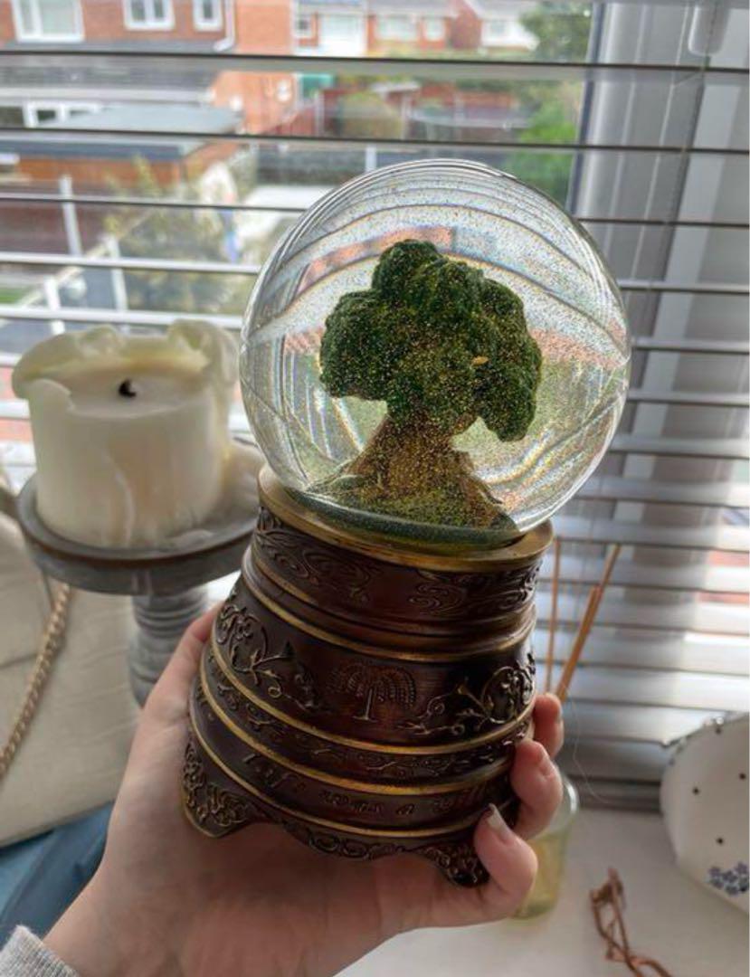 Snow Globe♡Taylor Swift