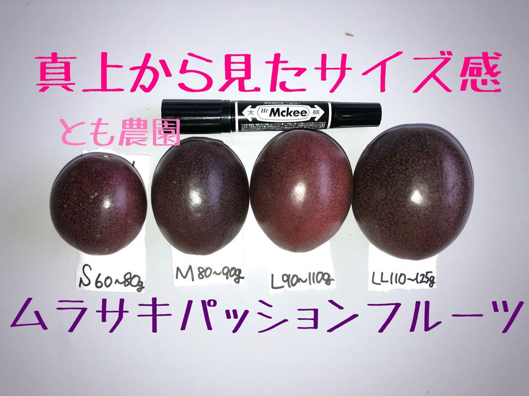 RTMT様☆L玉6.0kg+規格外500g パッションフルーツ