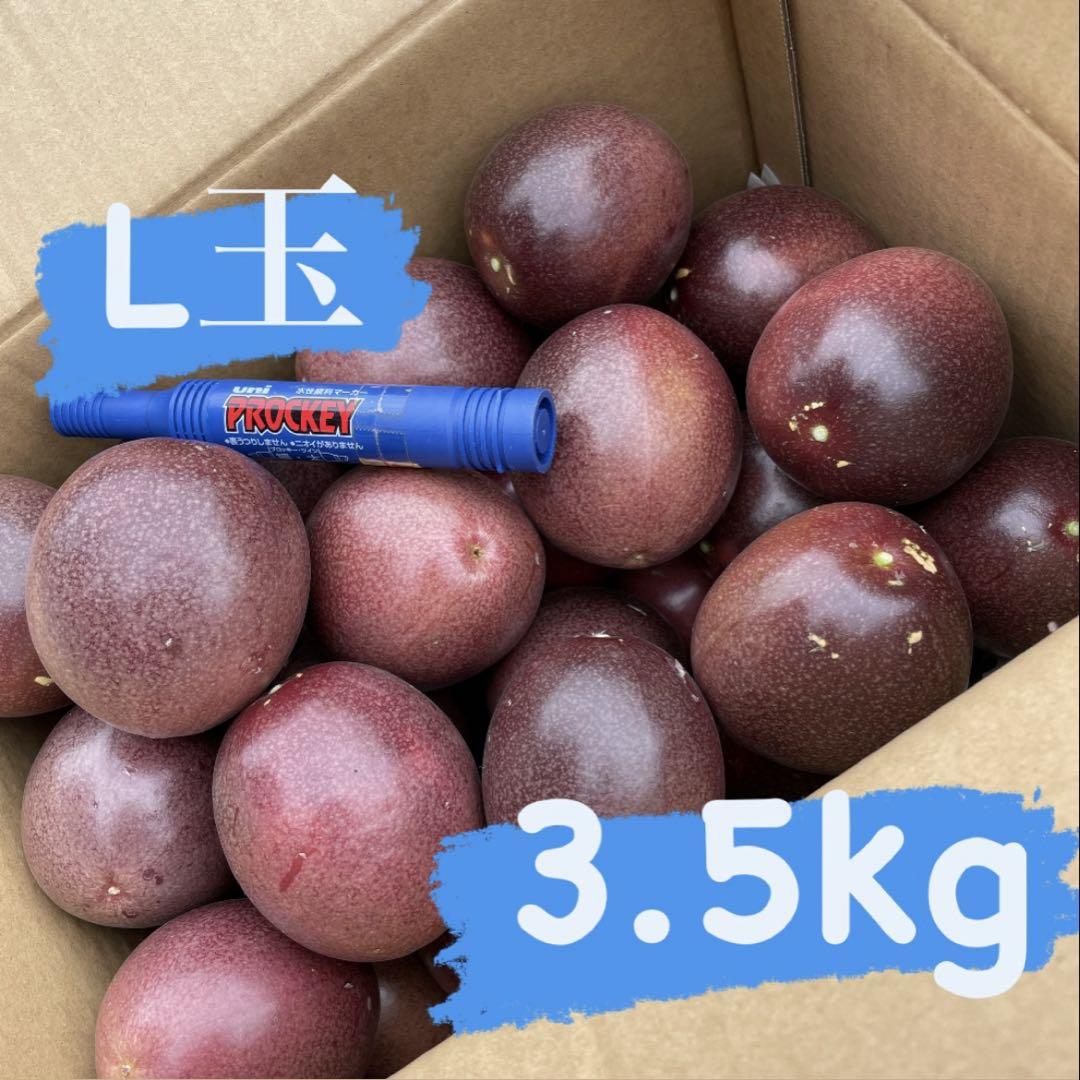 RTMT様☆L玉6.0kg+規格外500g パッションフルーツ