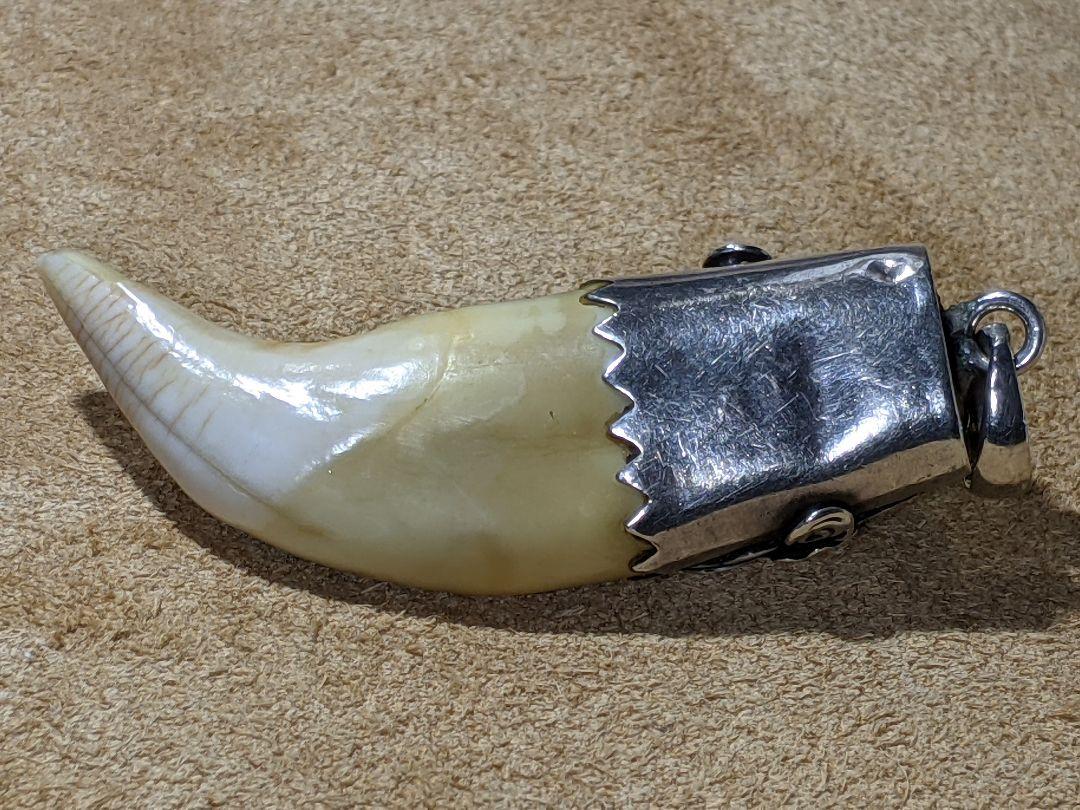 ネイティブ Silver タ−コイズBig Fang トップ