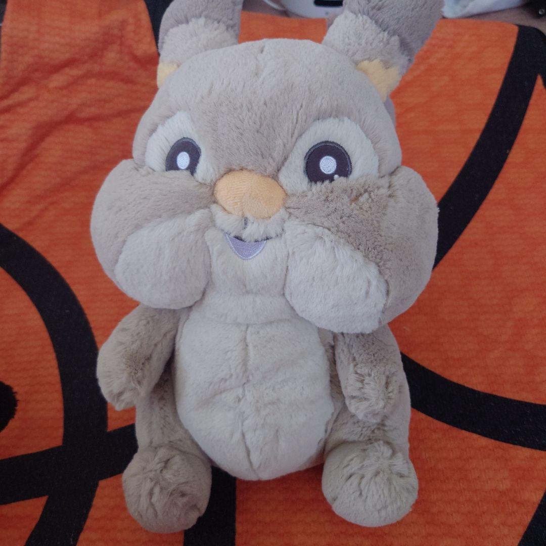 ○ポケモンセンターオリジナル ふわふわ抱きぬいぐるみ