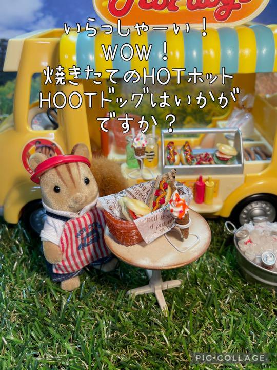 ホットドッグセット