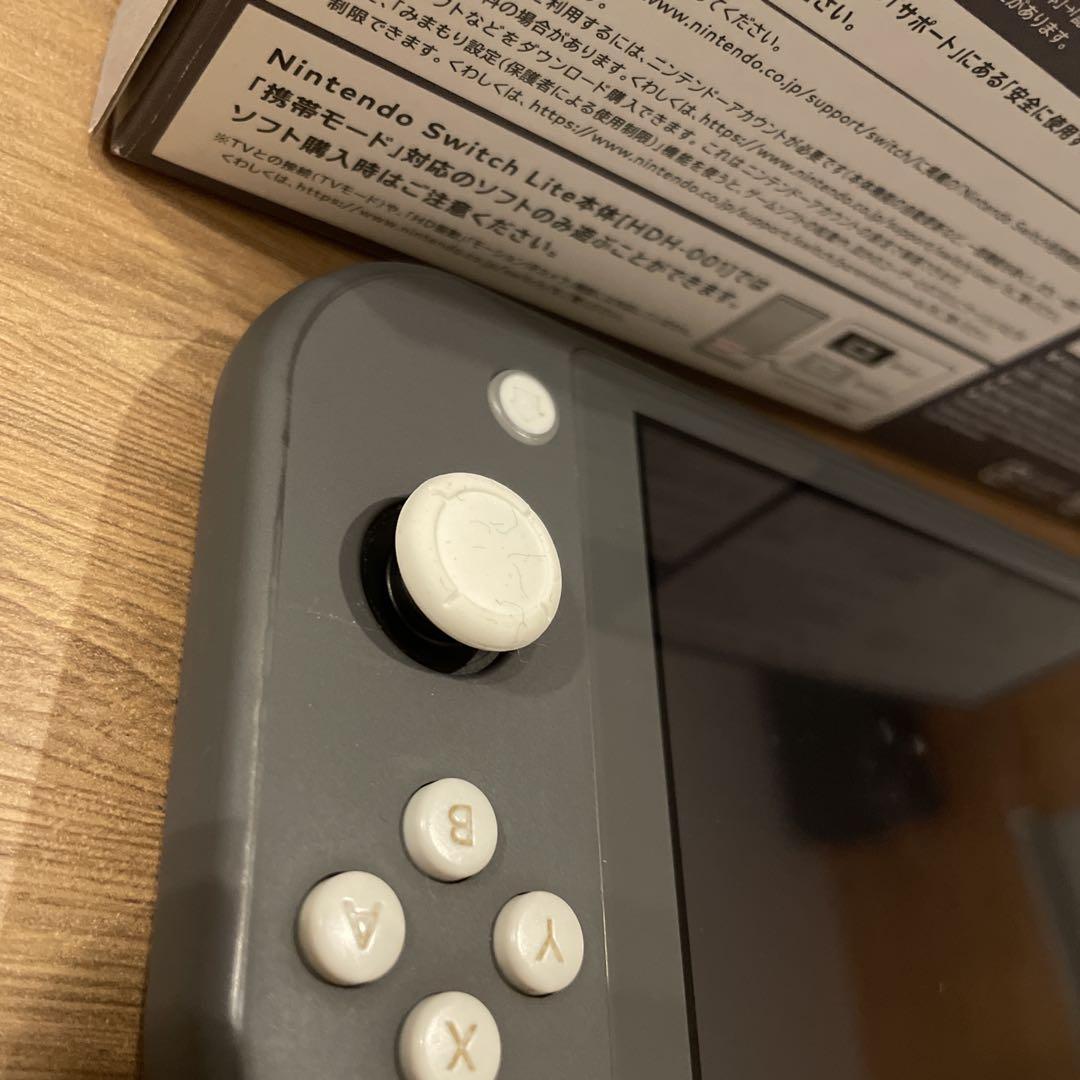 Nintendo Switch Lite グレー 本体 保護フィルム付き