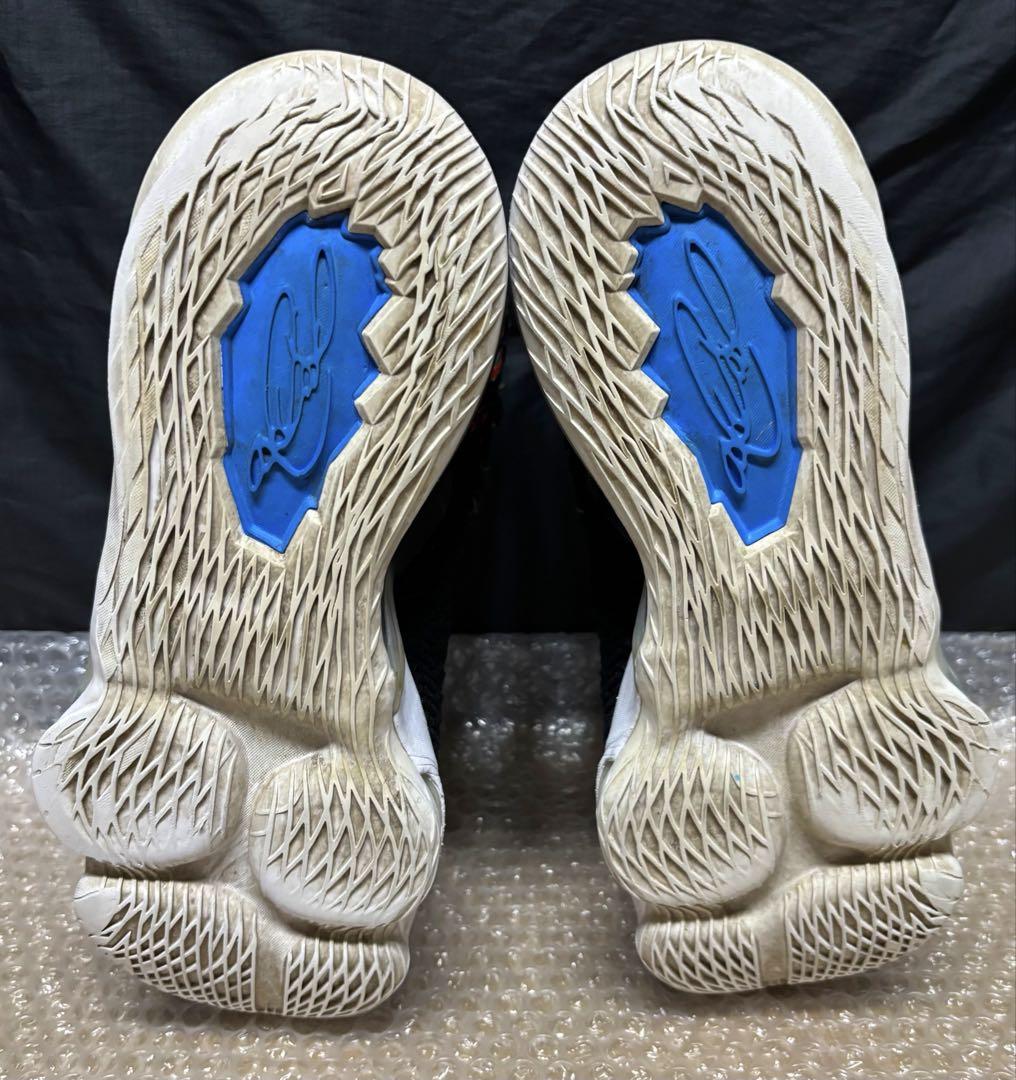 【26cm】NIKE LEBRON 17 \"JAMES GANG\" レブロン